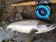 Ireland On The Fly Podcast: Blackwater Opening