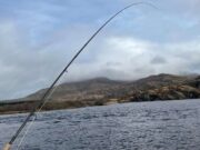 Currane sees its first salmon of the season caught currane