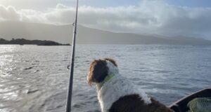 Currane anglers get another springer in the boat A Lough Currane Springer