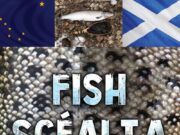 Tipp man John Lalors new angling book – Fish Scéalta book cover