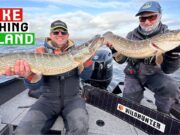 Fishing for Big Irish Pike in the Wildhunter Warship
