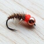 nymph