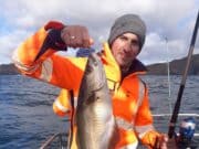 Another great day’s early season pollack fishing for Killybegs Fishing Trips