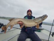 USA guests have super first pike trip with Fish Tales