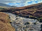 Irish Angling Update 🎣 8 March 2024