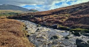 Irish Angling Update π£ 8 March 2024