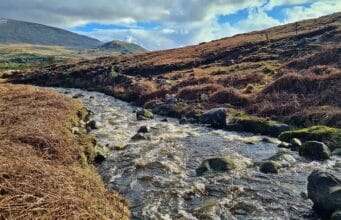 Irish Angling Update π£ 8 March 2024