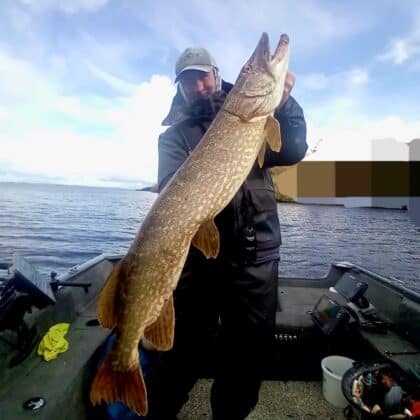 pike