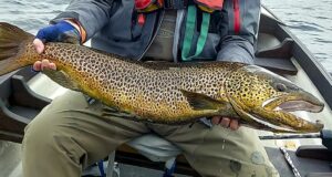 Duckfly up on Corrib as trolling still producing good fish