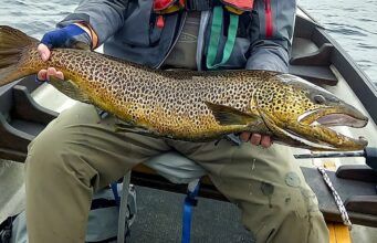 Duckfly up on Corrib as trolling still producing good fish
