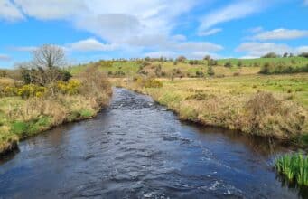 Irish Angling Update π£ 22 March 2024
