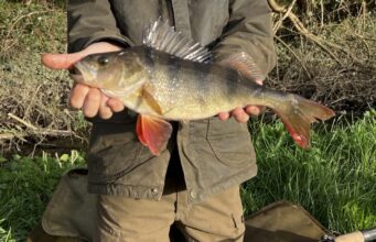New PB for Anthony, but still chases Granddad’s record perch