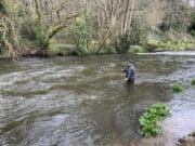 Another good day on the Kings River Kings River