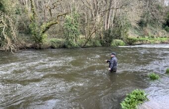 Irish Angling Update 🎣 27 March 2024 Kings River