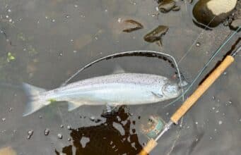 Emmet Brown catches first salmon of the season on the Glenmore Rivers Fishery in Donegal