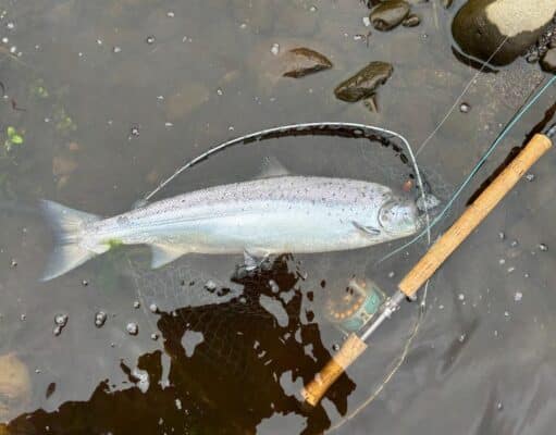 Emmet Brown catches first salmon of the season on the Glenmore Rivers Fishery in Donegal