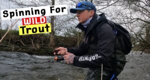 Spinning for wild river trout on light gear