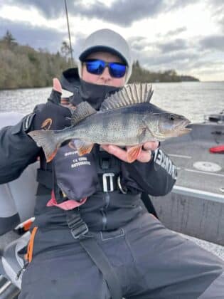 perch