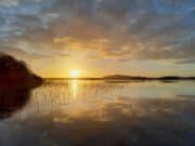 Irish Angling Update π£ 15 March 2024