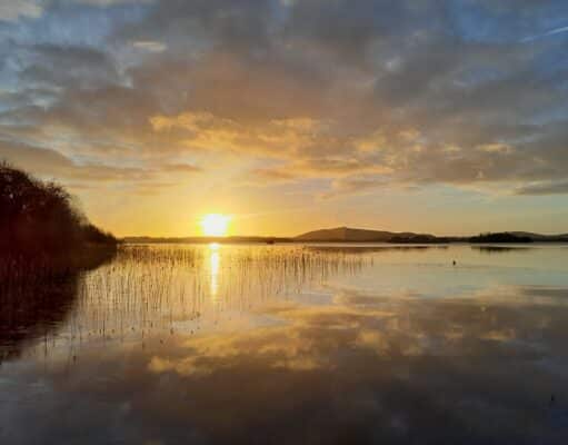 Irish Angling Update π£ 15 March 2024