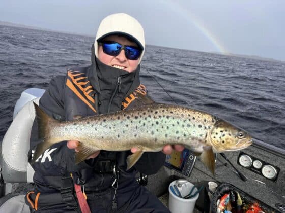 derg trout