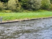 First Boyne salmon of the 2024 season reported The River Boyne at Navan, Co. Meath, Ireland.