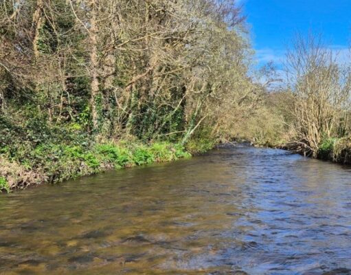 River essentials with Táin Flyfishing