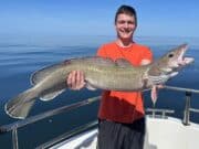 Fine ling among catches in Clare