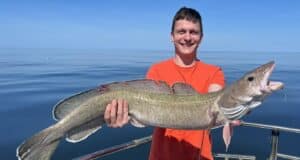 Fine ling among catches in Clare