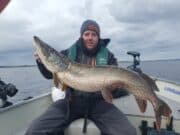 Fine 24lb pike for FishTales client on Lough Ree