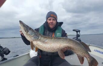 Fine 24lb pike for FishTales client on Lough Ree