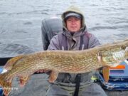 47 pike over 100cm at Lough Ree festival, but only 5mm divides 1st from 2nd