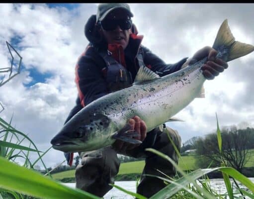 Blackwater Valley Fishery gets its first salmon of the year salmon