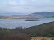 First salmon of the season reported from Carrowmore Lake