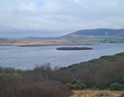 First salmon of the season reported from Carrowmore Lake