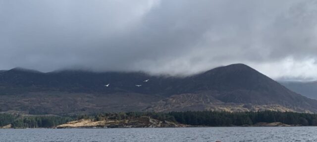 Lough Currane