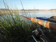 No much happening at Lanesborough, but local lakes fishing well