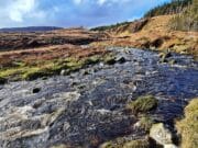 Irish Angling Update 🎣 05 April 2024