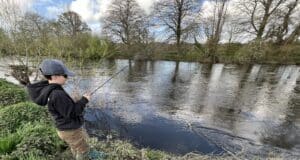 Streamers and nymphs taking fish on Kings River