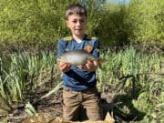 Roach aplenty and pike for Dan and Anthony on the Barrow