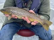 Pete the fiddler fishes lovely Lough Keel