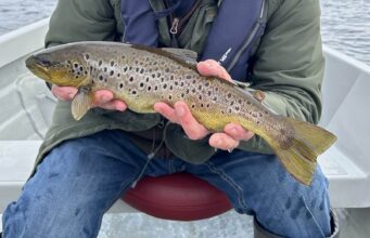 Pete the fiddler fishes lovely Lough Keel