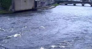 First two salmon reported from the River Moy