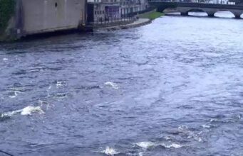 First two salmon reported from the River Moy