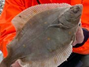 Leinster anglers endure slim pickings at Kilcoole
