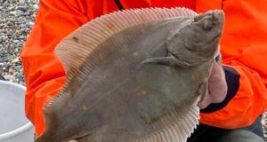 Leinster anglers endure slim pickings at Kilcoole