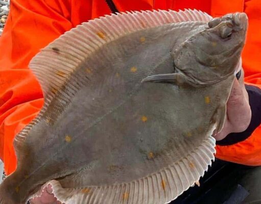 Leinster anglers endure slim pickings at Kilcoole