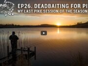 VIDEO: Deadbaiting for Pike