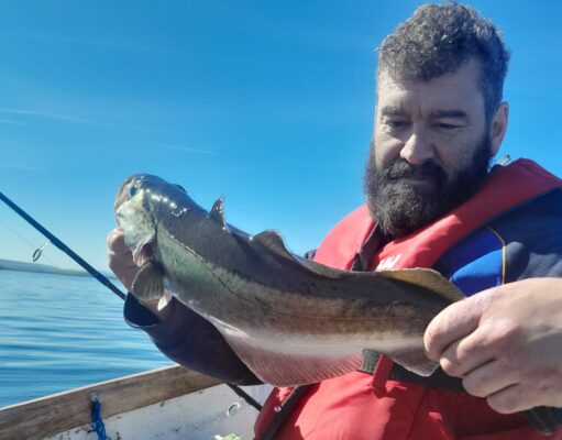 Plenty of pollack for the Murrays at Mullaghmore