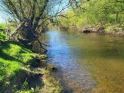 Fine fish feature at Deel and Boyne anglers competition